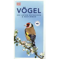 Vögel - 300 Arten entdecken & bestimmen