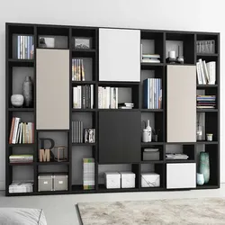 Moderne Regalwand mit Türen kaufen