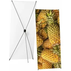 X-Banner Budget  80x200cm