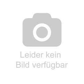 Die Entdeckung der Nilquellen (Speke, John Hanning)
