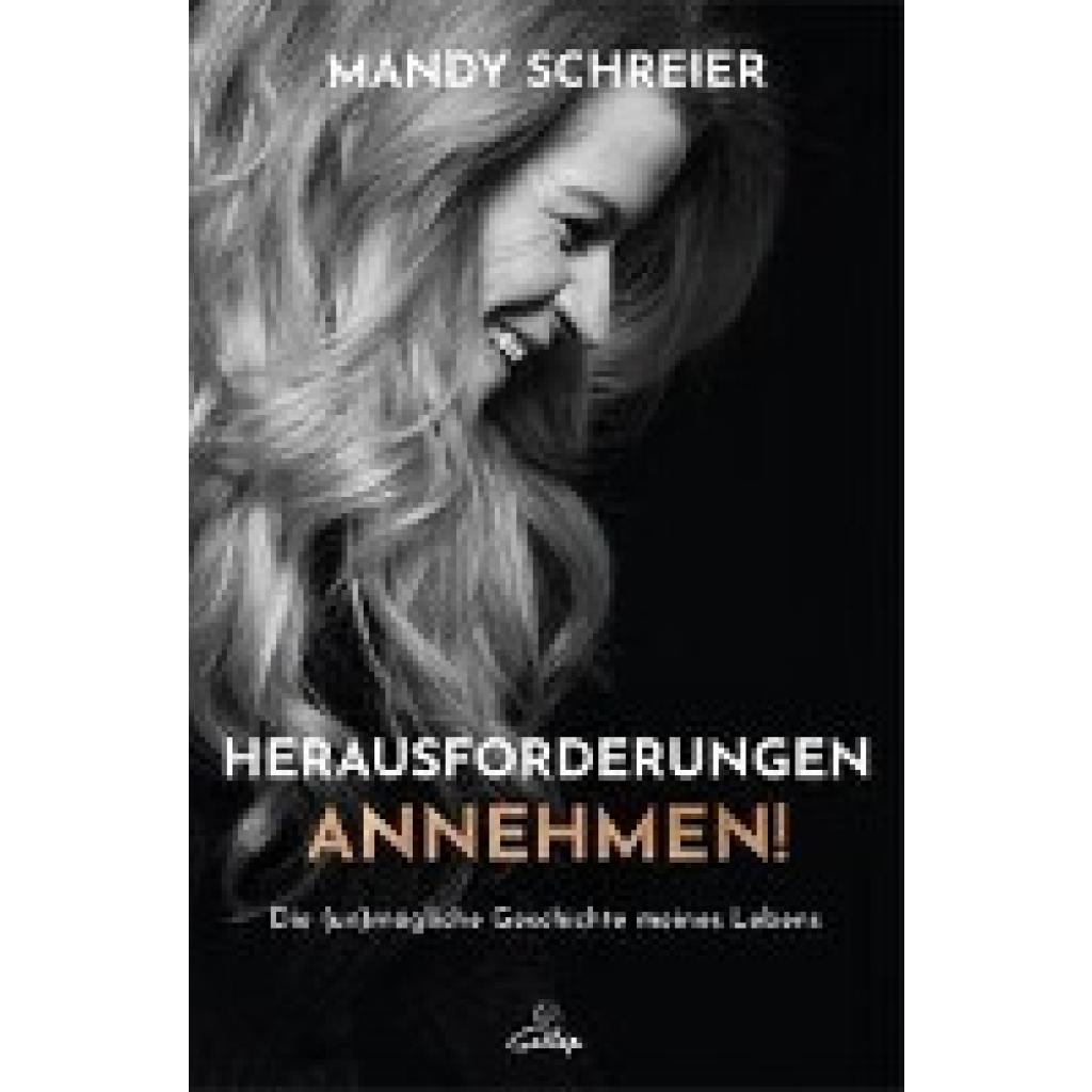 Herausforderungen annehmen! (Schreier, Mandy)