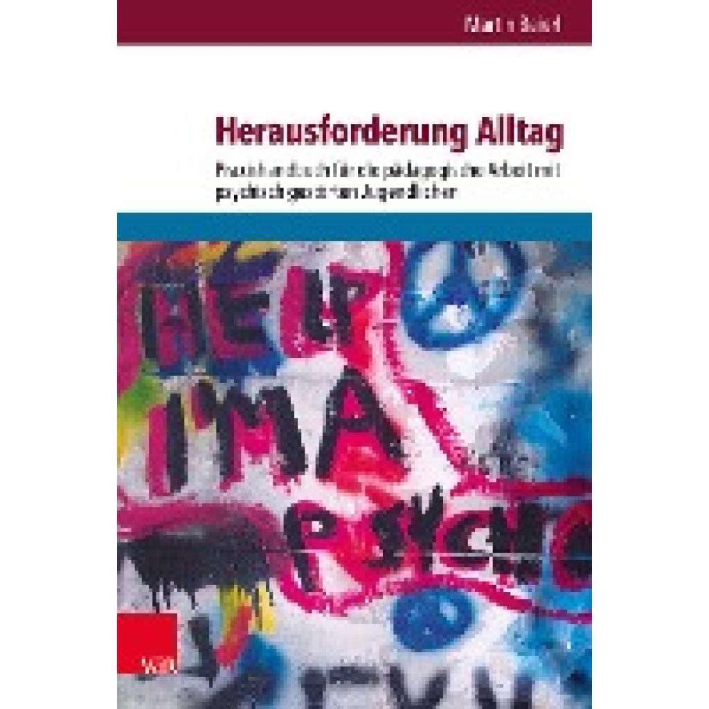 Herausforderung Alltag (Baierl, Martin)