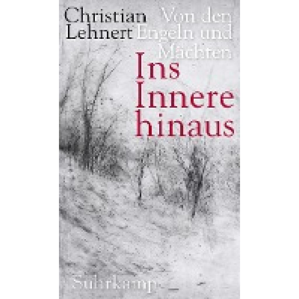 Ins Innere hinaus (Lehnert, Christian)